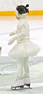 E11 03 c 10